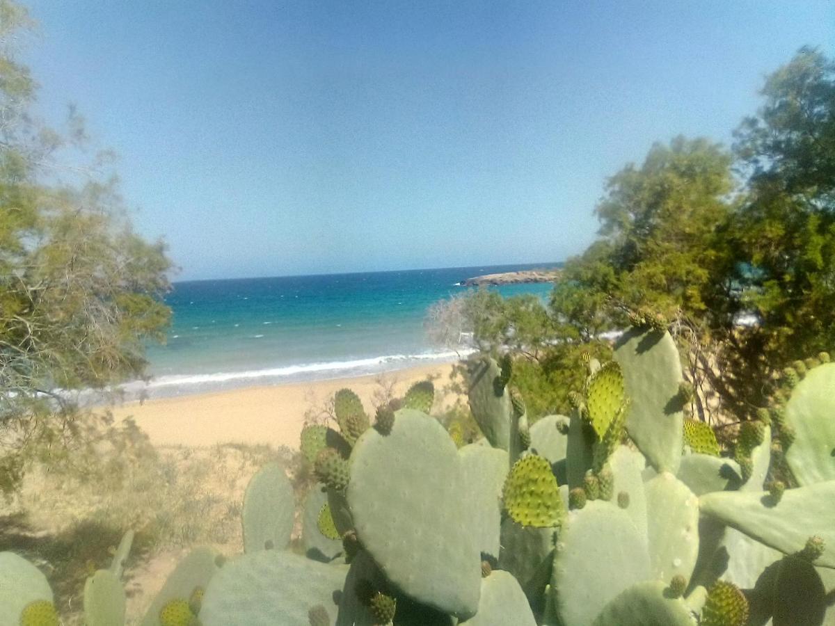 Manolo S Olive Farm, Apartment With Seaview Chania  Exterior photo